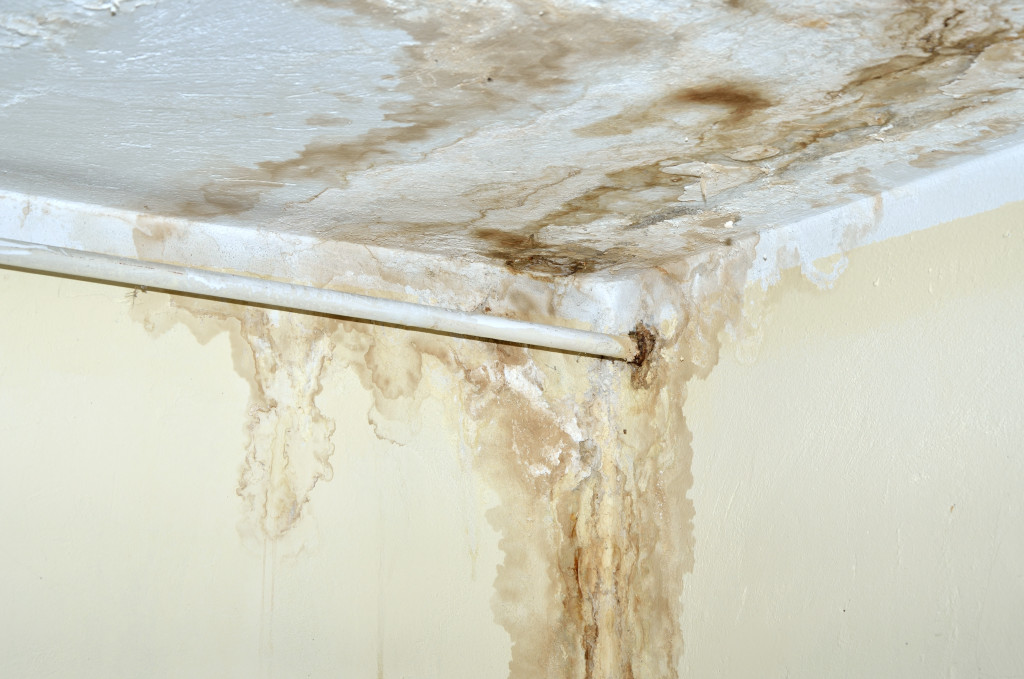 Moisture and mold in corner wall