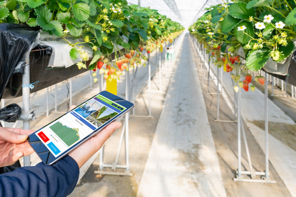 a man holding a mobile phone while in the greenhouse farm